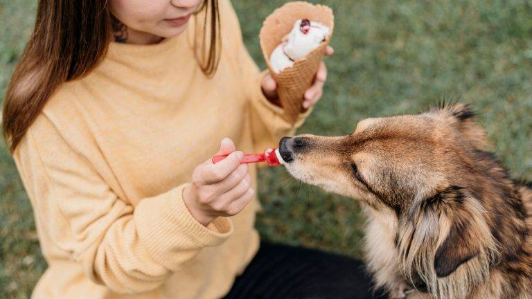 can you put neosporin on dogs